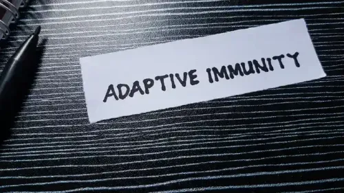 What are the Four Types of Adaptive Immunity?